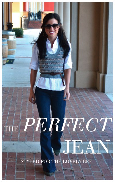 The Perfect Jean