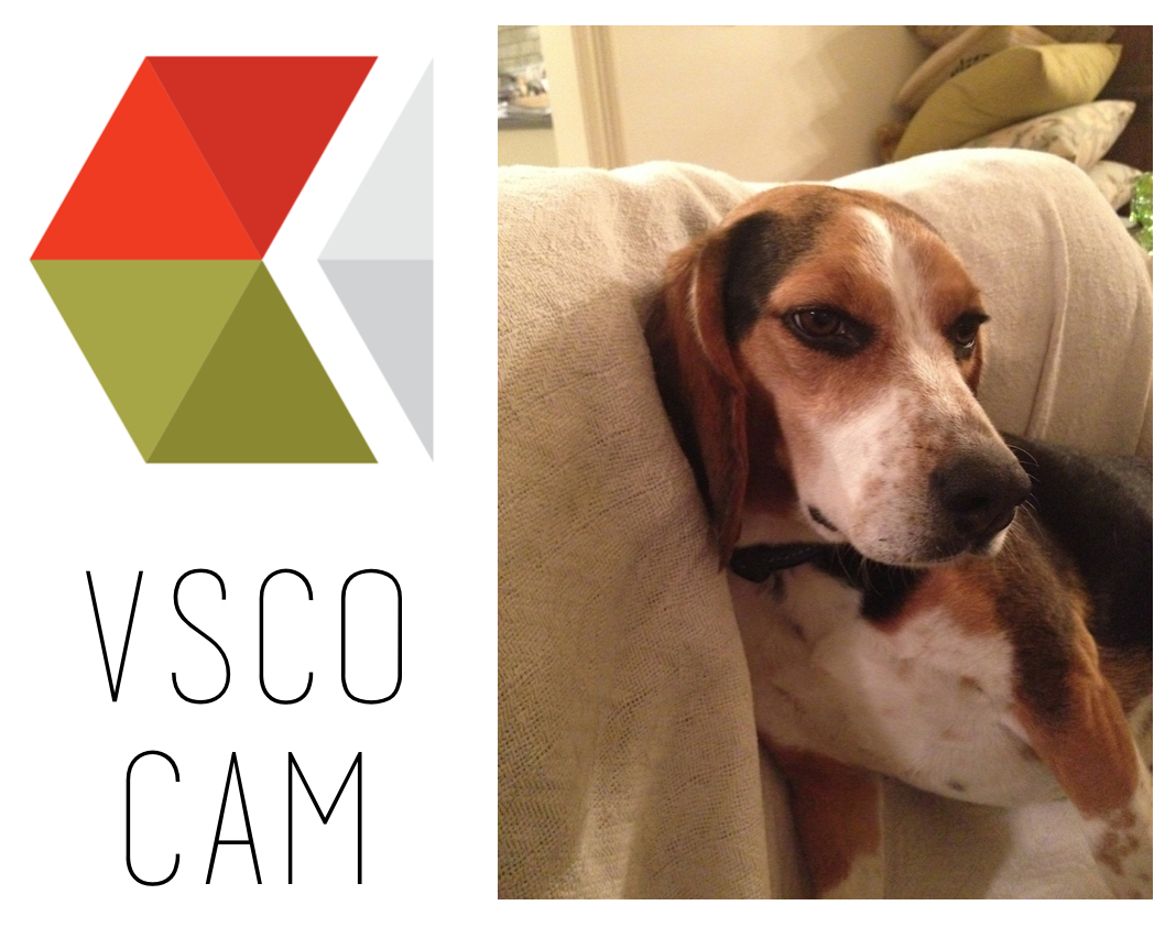 Apps I love: VSCOcam // THE HIVE